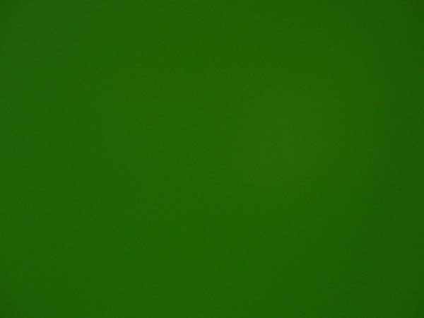 6002.jpg